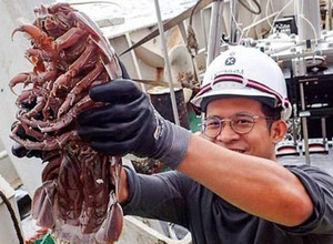 Indijos vandenyne rastas didžiulis jūros tarakonas