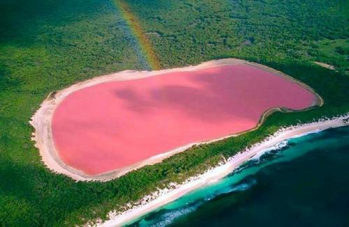 Rožinis ežeras