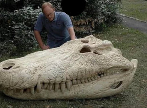 Puruzauro – didžiausio kada nors gyvenusio krokodilo – kaukolė