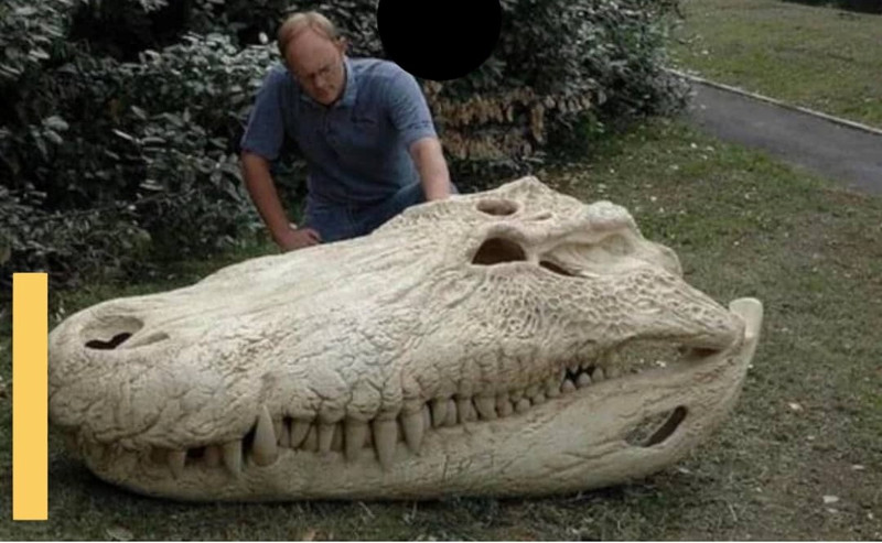 Didžiausio kada nors gyvenusio krokodilo – kaukolė