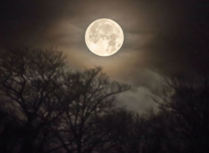 Mėnulio dulkės – labai pavojingos žmogui