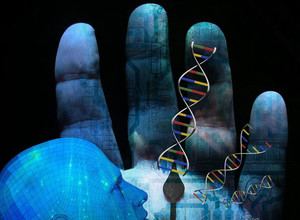 20 proc. žmogaus genomo pasirodo nenaudingas